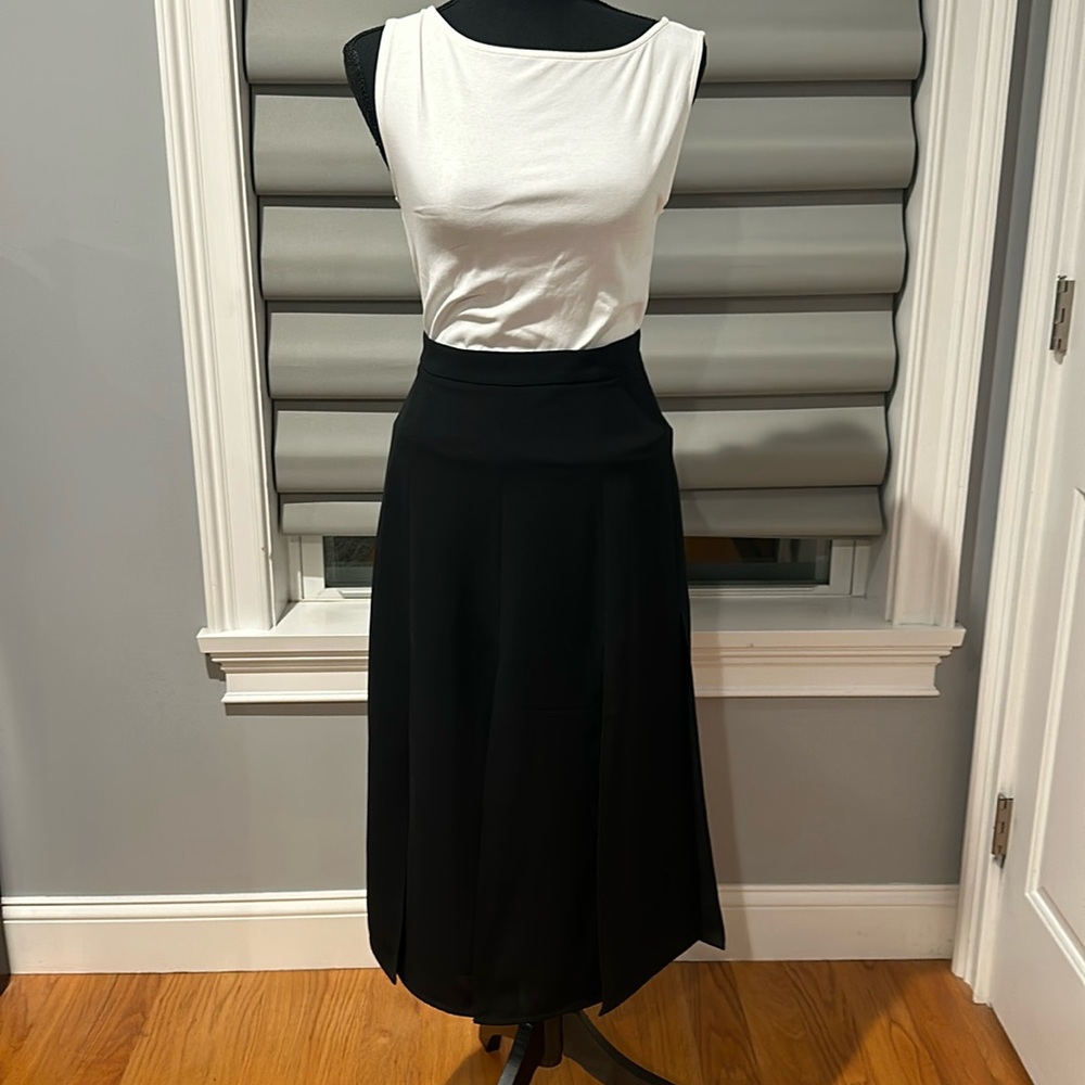 Ann Taylor Skirt, never worn
